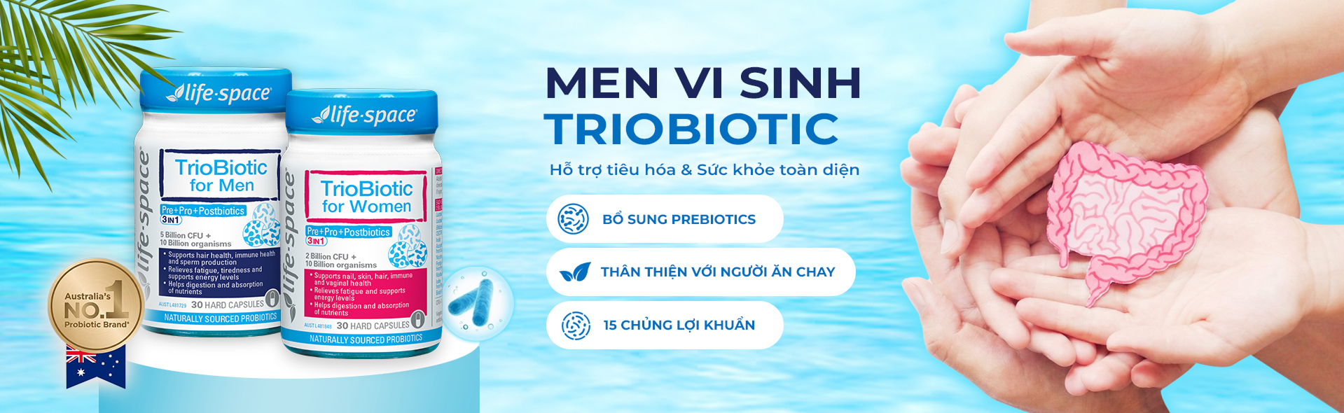 CÔNG TY TNHH PHÂN PHỐI GSX