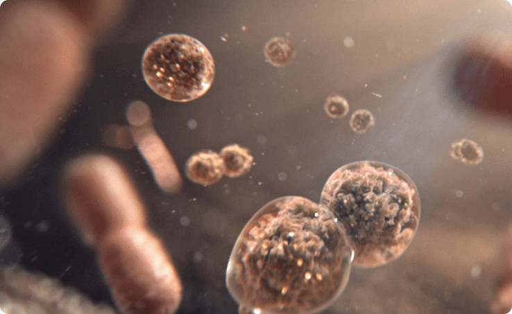 Được thúc đẩy bởi các nghiên cứu về hệ sinh vật